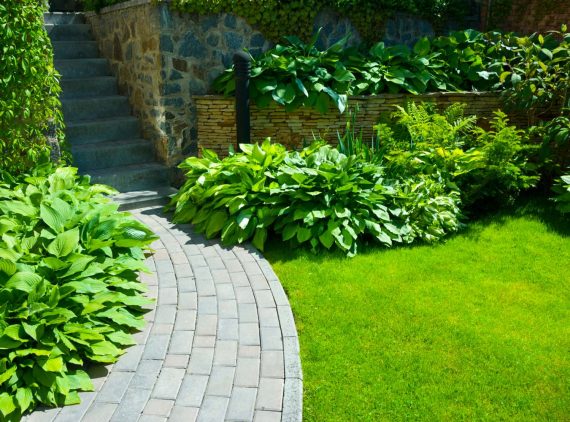 High school program starting